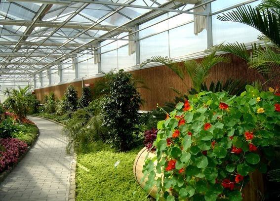 Buy cheap Roof Skylights For Botanical Gardens Maximizing Natural Light For Flourishing Plant Life from wholesalers
