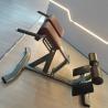 Buy cheap Befreeman Hot Selling Gym Fitness Exeserces 45 Degree Back Extension Machine Roman Chair for Sale from wholesalers