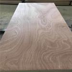 Sapele Face Back Poplar Core 15mm Sapele Mahogany Plywood