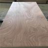 Buy cheap Glue E0 WBP Moisture 12% Sapele Veneer Plywood from wholesalers