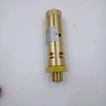Atlas Screw Air Compressor Parts Safety Valve 0832100078 1092001919 Maintenance