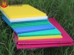 Colorful Recycled 250gsm PP Corrugated Plastic Board