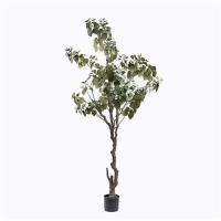 Buy cheap Fake Punica Granatum Tree product