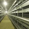 Buy cheap Poultry Farming Chicken Cage Wire , High Temp Resistant High Tech Chicken Cage from wholesalers