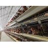 Buy cheap 4 Tiers Battery Poultry Layer Chicken Cage Q235A H Frame Style Fully Auto from wholesalers