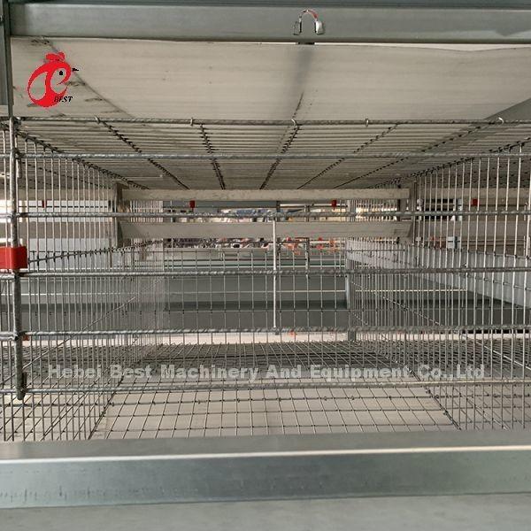 Buy cheap 4 Tiers Chicken Cage Full-automatic Equipment Customized Solutions Available Adela from wholesalers