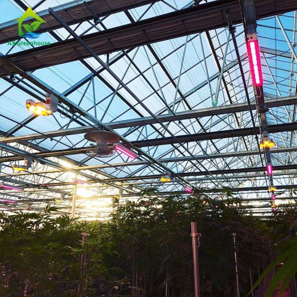 Buy cheap Hemp Light Deprivation 20' X 100' Greenhouse 3 Layers Peppers Green House from wholesalers