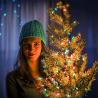 Buy cheap 18ft 50 LED Green Wire Christmas Light Warm White Lights for Indoor Outdoor Christmas Valentine Wedding Lighting Decoration from wholesalers