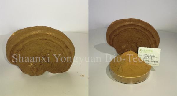 reishi mushroom series: Reishi slices, Reishi Mushroom Extract polysaccharide 20