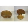 Buy cheap reishi mushroom series: Reishi slices, Reishi Mushroom Extract polysaccharide 20% triterpenoids1% , Manufacture from wholesalers