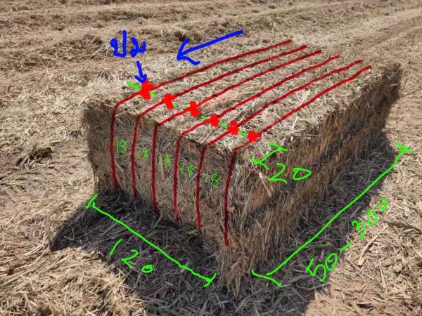 Buy cheap High Breaking Strength PP Baler Twine 500m/Kg 1000m/Kg 130M/Kg from wholesalers