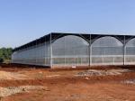 Easy Assembled Tomato Agricultural Kit Frame Greenhouse With Super Strong