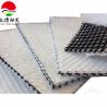 Buy cheap Chinese Design Style High Drainage HDPE 3D Geonet Geocomposite Drainage Network from wholesalers