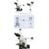 Buy cheap Multi Viewing Microscope A17.1026-B from wholesalers