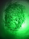 Deep Sea Fishing Light For 30/50 Meters , 5000w Submersible Fishing Light For