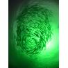 Buy cheap 3000W Power Source LED COB Chip Deep Sea Fishing Light for Fishing IP68-rated Underwater Lights from wholesalers