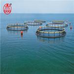 PE Circular Floating Fish Cage High Tensile Strength Seawater Resistant