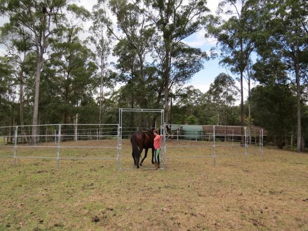 Buy cheap Portable Horse Pens For Sale Heavy Duty 6 Oval Rail - Cattle Yards Horse Panels Round from wholesalers