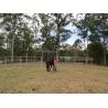 Buy cheap Portable Horse Pens For Sale Heavy Duty 6 Oval Rail - Cattle Yards Horse Panels Round from wholesalers