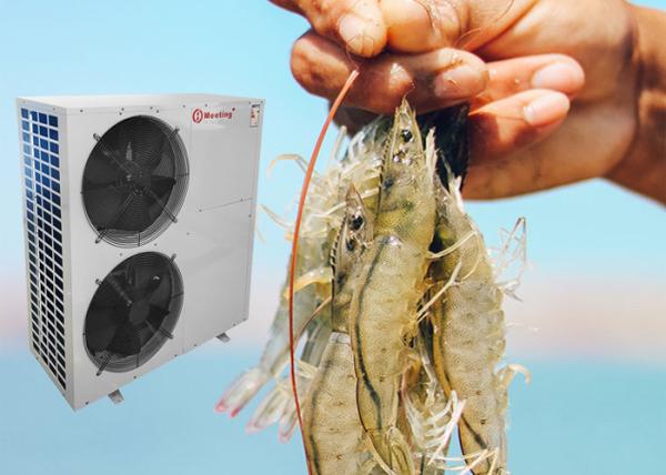 28-32degree water temperature swimming pool heat pump water heater for shrimp