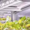 Buy cheap Versatile Commercial Greenhouse for Hydroponic Vertical Farming in Shipping Container from wholesalers