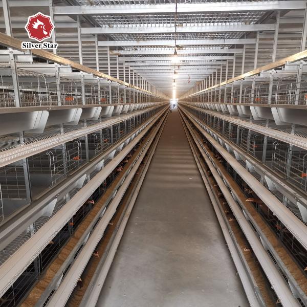 Buy cheap Modern Farm Q235A Steel Wire Poultry Cage For 200 Birds from wholesalers