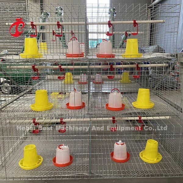 Buy cheap Poultry Farm Broiler Chicken Cage 3 Tiers , A Type Battery Cage For Broilers Doris from wholesalers