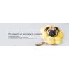 Buy cheap waterproof pet house large insulated plastic dog house, plastic dog kennel, Dog Product Plastic Durable Pet Dog House from wholesalers