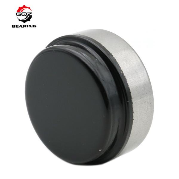 Top Ranking Rear Axle Needle Bearing DBF68933 NE68934 Needle Roller Bearing for