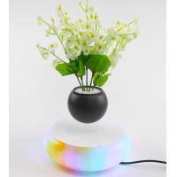 Buy cheap colorful led light magnetic levitation air bonsai plant pot tree succulent product