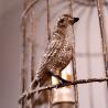 Buy cheap Rustic Cage Birds Chandelier for farmhouse Bedroom Sitting room lighting (WH-CI-83) from wholesalers