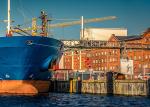 20FT 40FT International Sea Freight Forwarding , DDP Shipping From China To