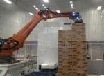 36000 BPH Robot Packaging Machines Beverage Line Bottle Robotic Palletiser