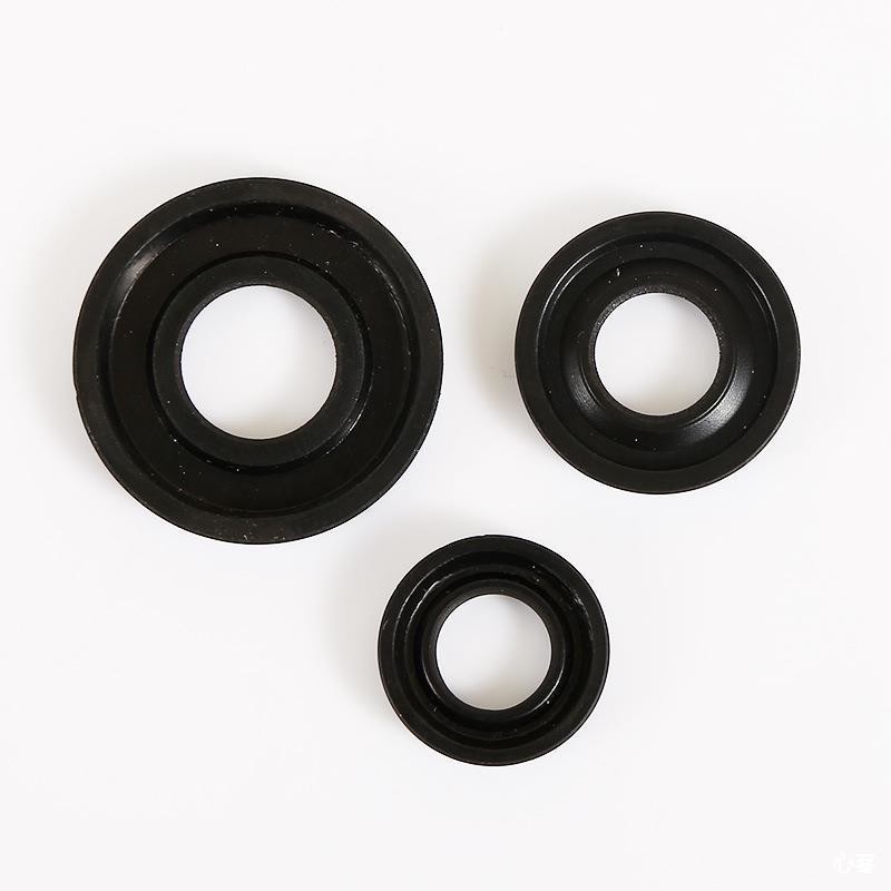 High Quality Rubber Oil Seals Famous Brand NBR FPM FKM Tc Oil Seals