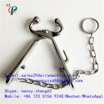 Carbon steel nose tongs for cattle, calf nose clamp , nose grips for cow holding