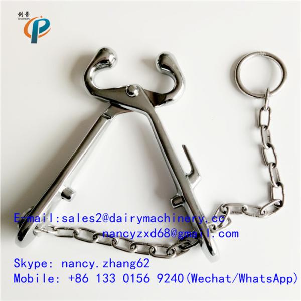 Buy cheap Carbon steel nose tongs for cattle, calf nose clamp , nose grips for cow holding , with chain from wholesalers