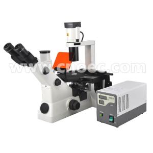 Buy cheap Inverted Fluorescence Binocular Compound Microscopes 40X - 400X A16.0701 from wholesalers