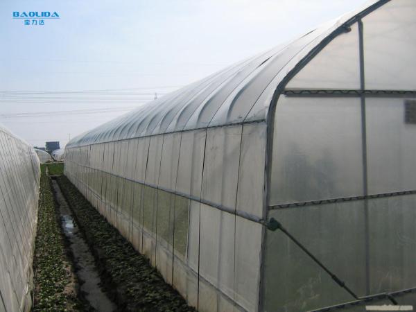 Buy cheap Tunnel Single Span Greenhouse For Vegetables Growing Agricultural Farming from wholesalers