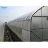Buy cheap Tunnel Single Span Greenhouse For Vegetables Growing Agricultural Farming from wholesalers