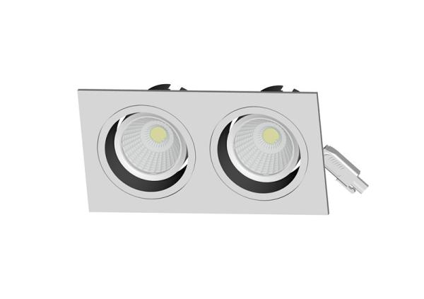 Buy cheap 2*10W 15 Degree Lens Of COB LED Ceiling Light With Meanwell Driver from wholesalers