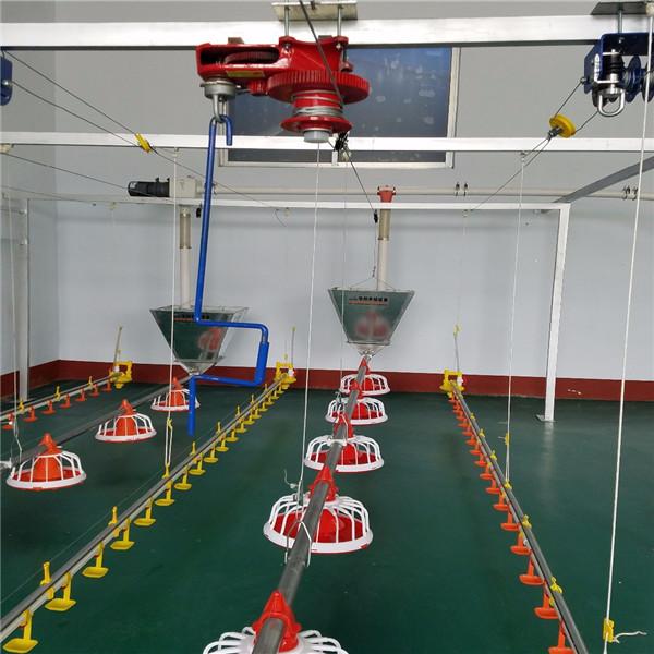 Buy cheap Broiler Poultry Feeding Equipment For Chicken House from wholesalers