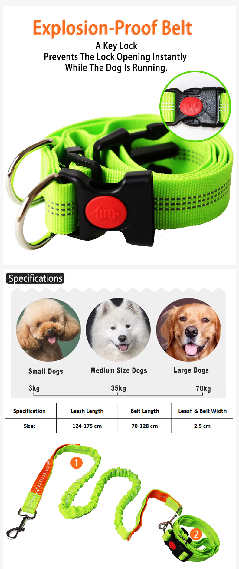 Adjustable Hand Free Outdoor Running Nylon Retractable Dog Leashes Waist Belt Running Bungee Dog Leash