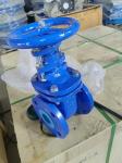 DN150 PN10 GG25 cast iron gate valve
