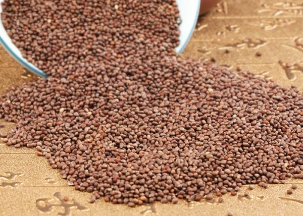 Buy cheap Oil Extraction Perilla Seeds , ISO Farm Products One Year Shelf Life from wholesalers
