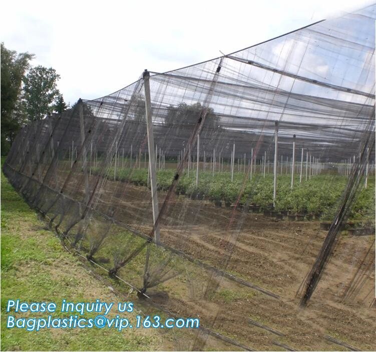 agriculture anti insect net on roll insect proof mesh for greenhouse,Greenhouse Anti Insect Netting /Agriculture Netting