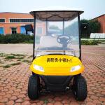 4KW All Terrain Aetric Golf Cart 4 Passenger With Lithium Battery