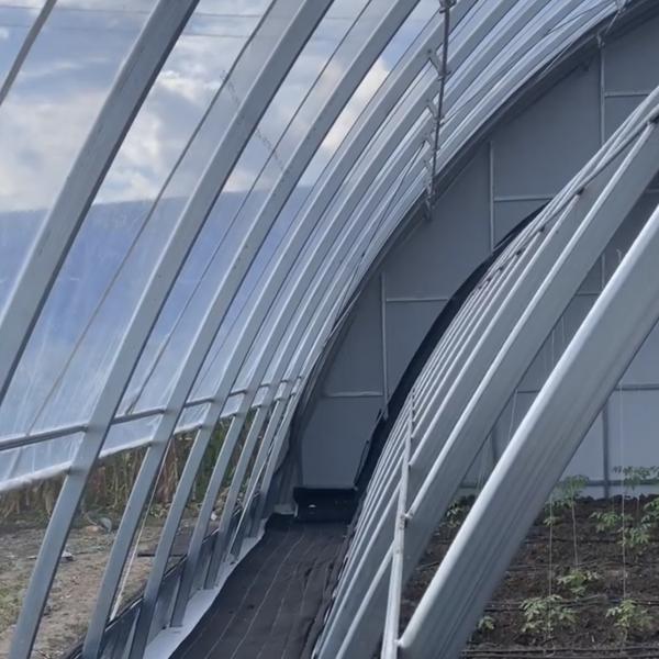 Buy cheap Farming with Sunlight Greenhouse Aquaculture Hydroponics Growing System JX-A00201 from wholesalers