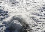 Shanghai Professional Sea Shipping From China To USA