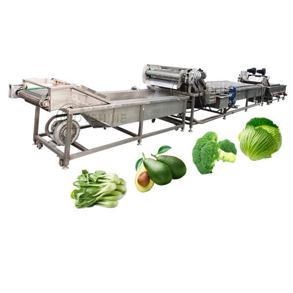 Hotels 2000kg/H Bubble Washing Machine For Industrial Avocado And Strawberry