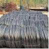 Buy cheap 5.5mm Stainless Steel Wire Rod Coil High Tensile Strength TUV Certificate from wholesalers